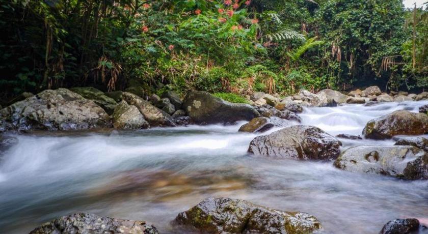 Hotel Pondok Remaja Pgi Puncak Kültér fotó